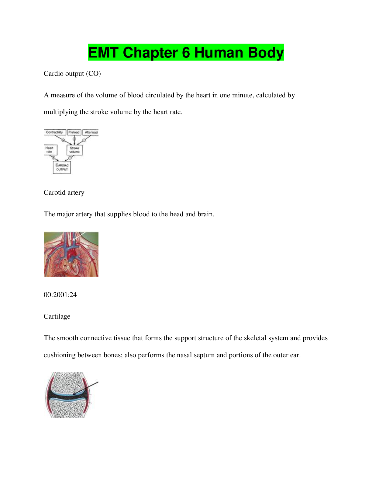 Preview image for EMT Chapter 6 Human Body